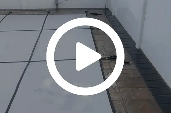 video1